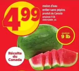 Maxi melon d'eau entier sans pépins offer