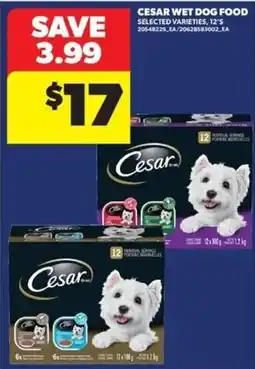 Real Canadian Superstore Cesar wet dog food offer
