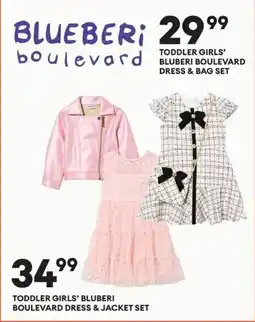 Real Canadian Superstore Blueberi boulevard toddler girls' dress & bag set offer
