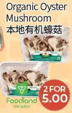FreshWay Foodmart Organic Oyster Mushroom offer