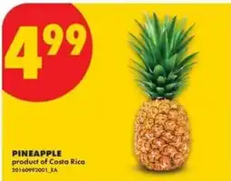 No Frills Pineapple offer