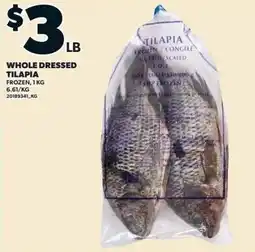 Zehrs Markets Whole dressed tilapia offer