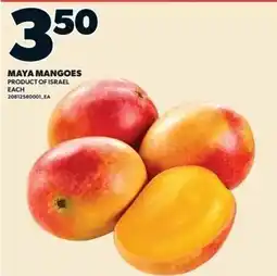 Zehrs Markets Maya mangoes offer