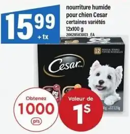 Maxi Cesar nourriture humide pour chien certaines variétés offer