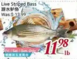 Foody Mart Live Striped Bass offer
