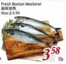 Foody Mart Fresh Boston Mackerel offer