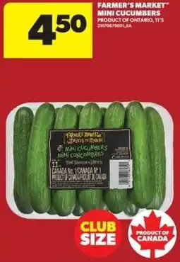 Real Canadian Superstore Farmer's Tomato mini cucumbers offer