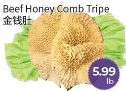 FreshWay Foodmart Beef Honey Comb Tripe offer