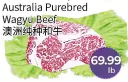 FreshWay Foodmart Australia Purebred Wagyu Beef offer