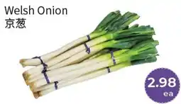 FreshWay Foodmart Welsh Onion offer