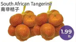 FreshWay Foodmart South African Tangerine offer