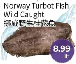 FreshWay Foodmart Norway Turbot Fish offer
