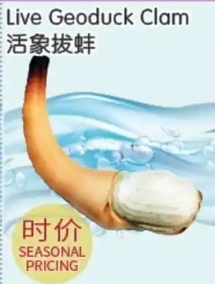 FreshWay Foodmart Live Geoduck Clam offer