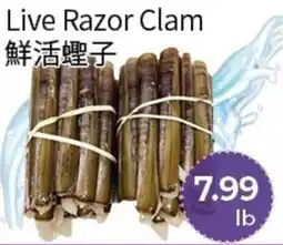 FreshWay Foodmart Live Razor Clam offer