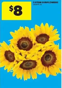 Real Canadian Superstore 5 stem sunflowers offer