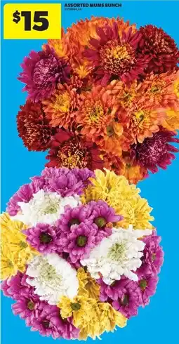 Real Canadian Superstore Assorted Mums Bunch offer