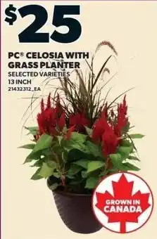 Zehrs Markets PC celosia with grass planter offer