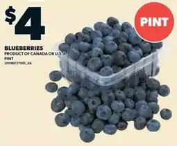 Zehrs Markets Blueberries offer