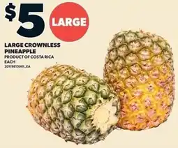 Zehrs Markets Large crownless pineapple offer