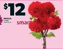 Zehrs Markets smart dahlia offer