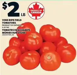 Loblaws Vine Ripe Field Tomatoes offer