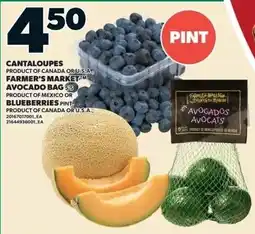 Loblaws Farmer's Market avocado bag or blueberries offer