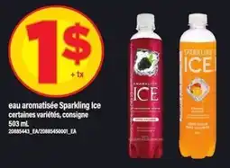 Maxi Sparkling Ice offer