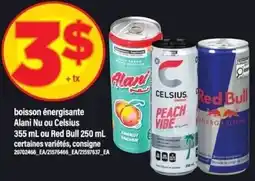Maxi Alani Nu or Celsius or Red Bull offer
