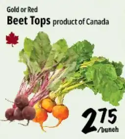 Farm Boy Beet Tops offer