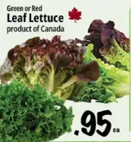 Farm Boy Leaf Lettuce offer