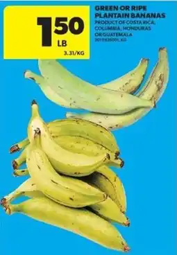 Real Canadian Superstore Green or ripe plantain bananas offer