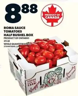 Zehrs Markets Roma Sauce Tomatoes offer