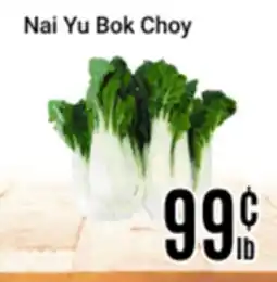 Nations Fresh Foods Nai Yu Bok Choy offer