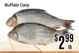 Nations Fresh Foods Buffalo Carp offer