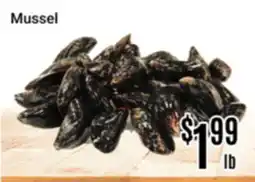 Nations Fresh Foods Mussel offer