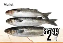 Nations Fresh Foods Mullet offer