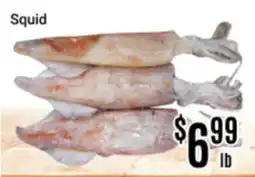 Nations Fresh Foods Squid offer