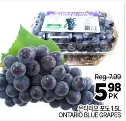 H-Mart ONTARIO BLUE GRAPES offer