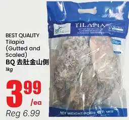 Terra Foodmart BEST QUALITY Tilapia (Gutted and Scaled) offer