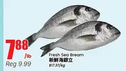 Terra Foodmart Fresh Sea Bream offer