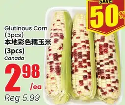 Terra Foodmart Glutinous Corn offer