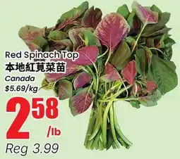 Terra Foodmart Red Spinach Top offer