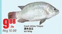 Terra Foodmart Fresh White Tilapia offer