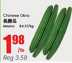 Terra Foodmart Chinese Okra offer