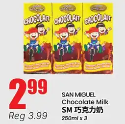 Terra Foodmart SAN MIGUEL Chocolate Milk offer