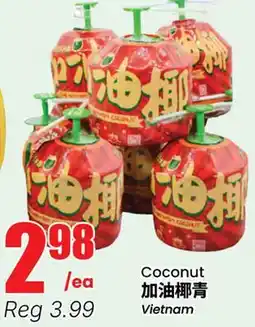 Terra Foodmart Coconut offer