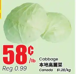 Terra Foodmart Cabbage offer