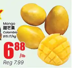 Terra Foodmart Mango offer