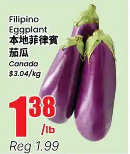 Terra Foodmart Filipino Eggplant offer