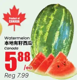 Terra Foodmart Watermelon offer